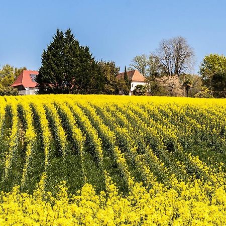 Maison Comayou Loubieng エクステリア 写真